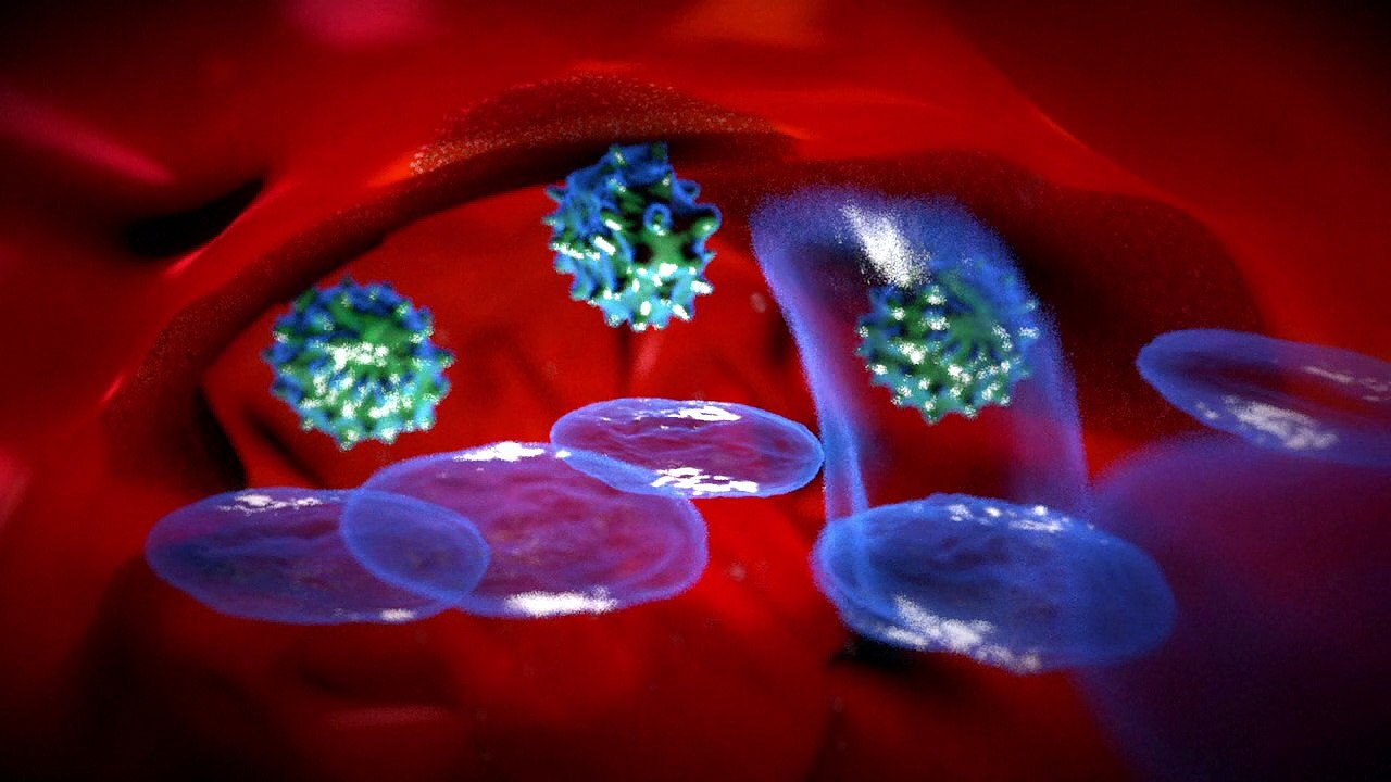 How vaccination works