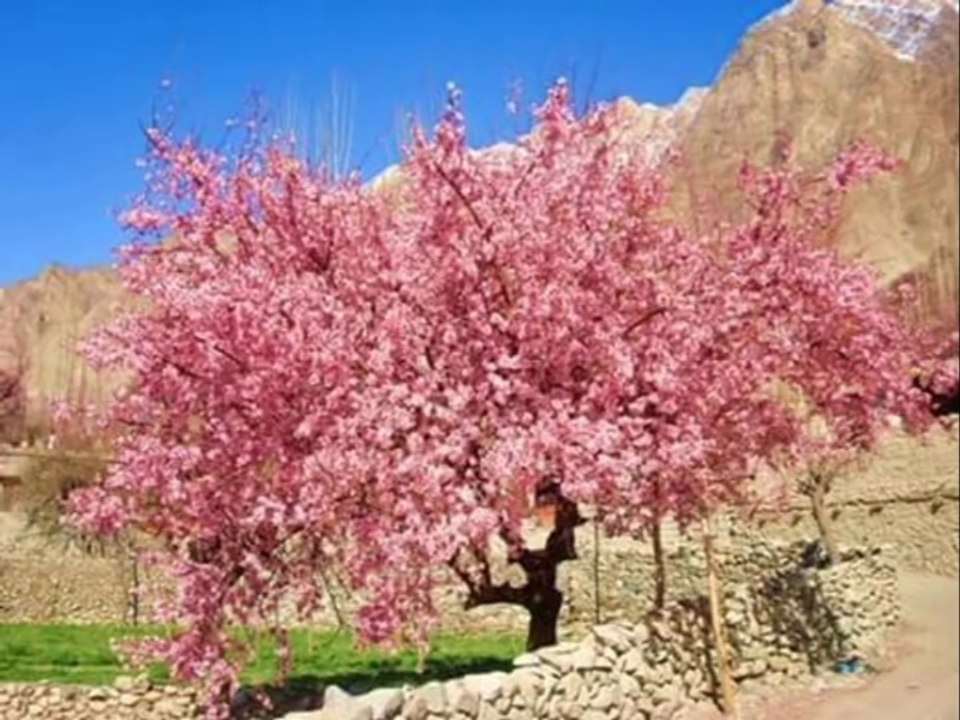 New Balti Song 2016 (Nema Go Sguz)