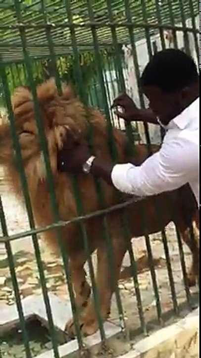 Eumeu Sene en pleine action avec un lion impressionnant 🦁