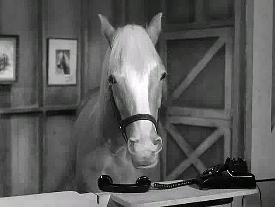 Mister Ed S01E26 - Wilbur's Big Sale: Can He Keep Ed? 🐴