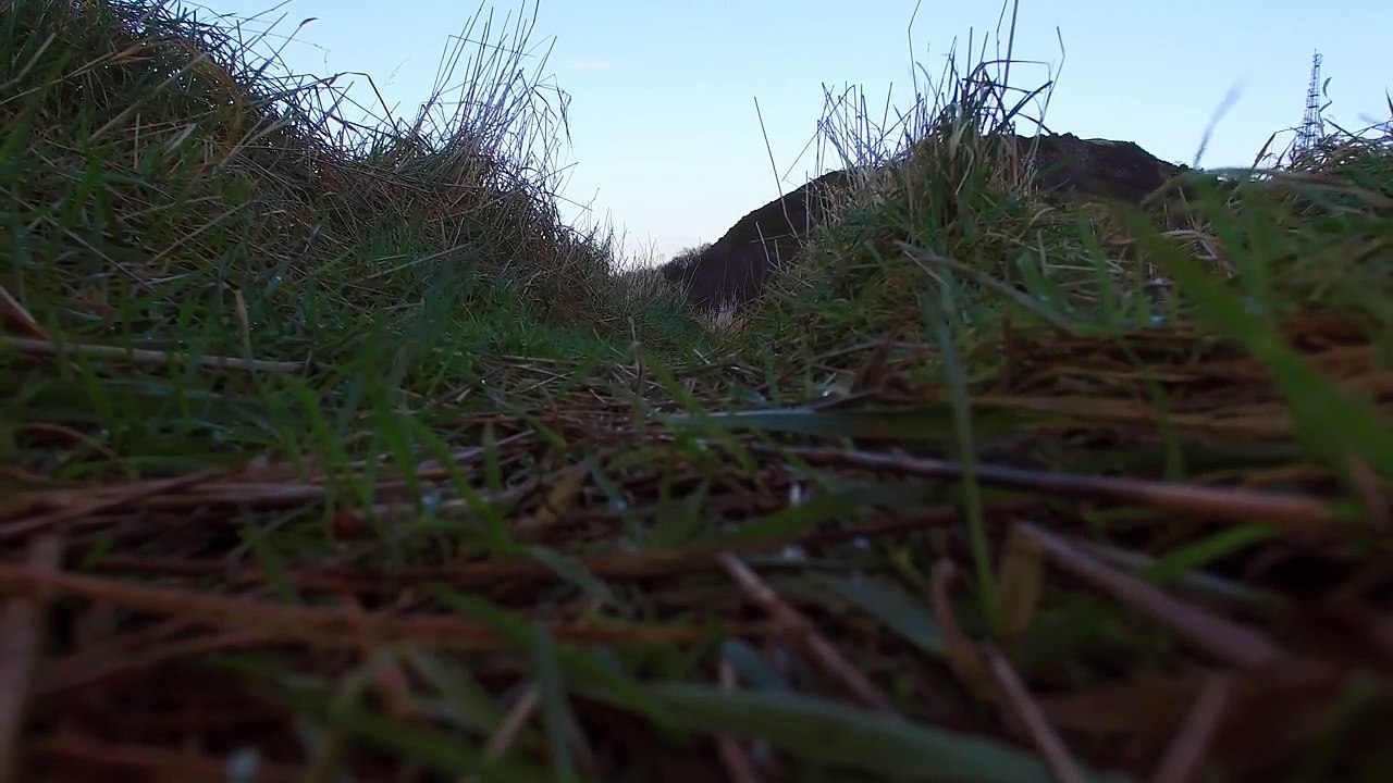 Phantom Pro 4k Footage test