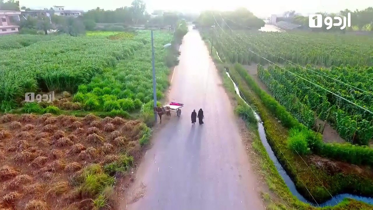 Gustakh Ishq - Episode 1 - Full HD