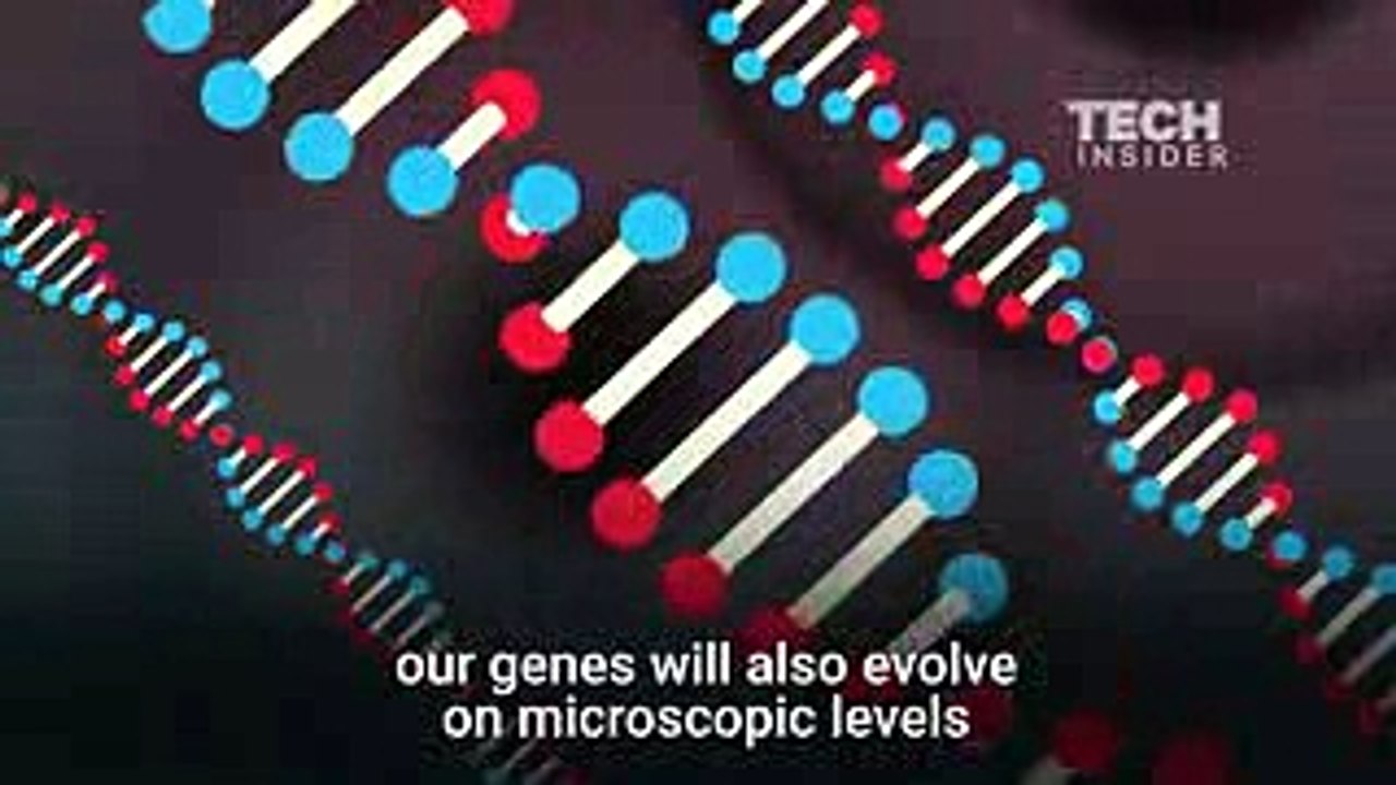 What humans will look like in 1,000 years