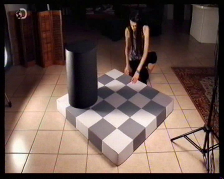 Percepcion: Ilusiones visuales