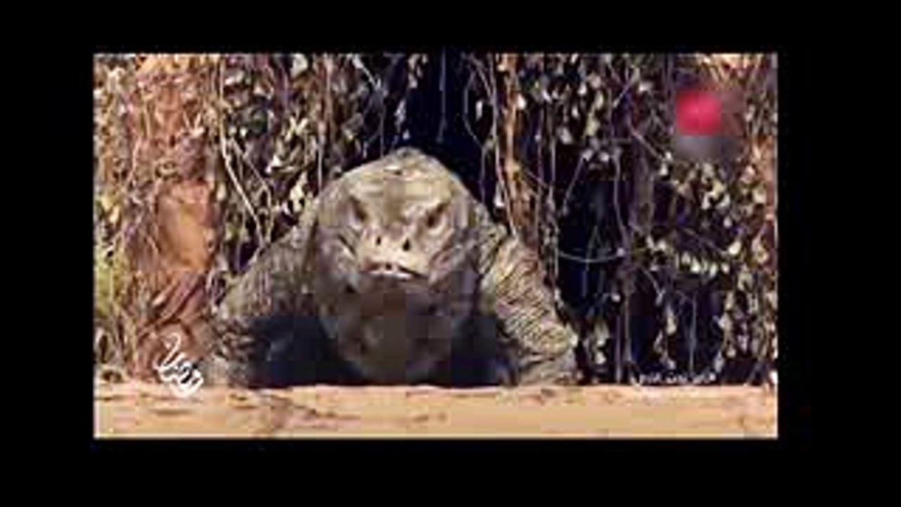 حصرياً ضحايا برنامج رامز جلال الجديد رامز تحت الارض 2017