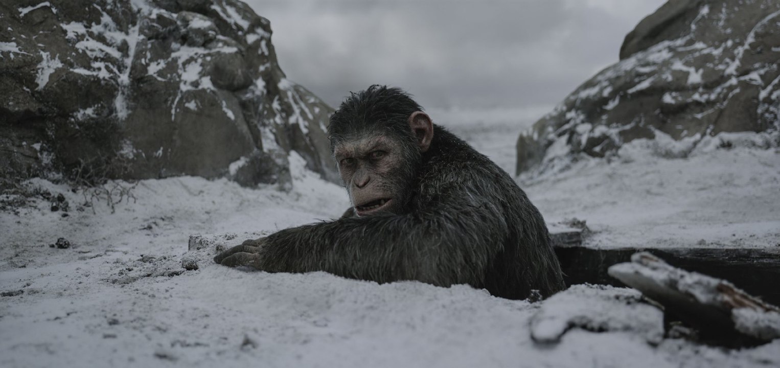 War for the Planet of the Apes 2017 OnliNE Streaming