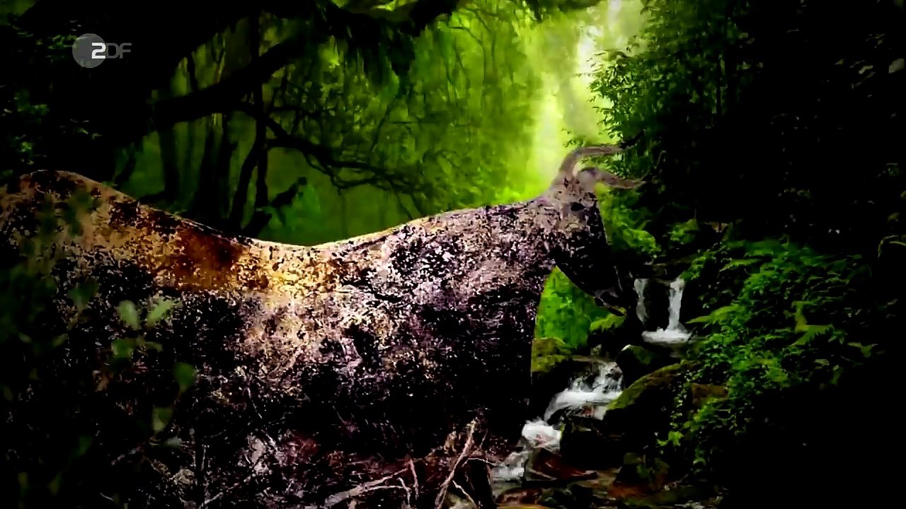 Kinski als Cäsar Ich LIEBE dich, du DUMME SAU Sketch History | ZDF