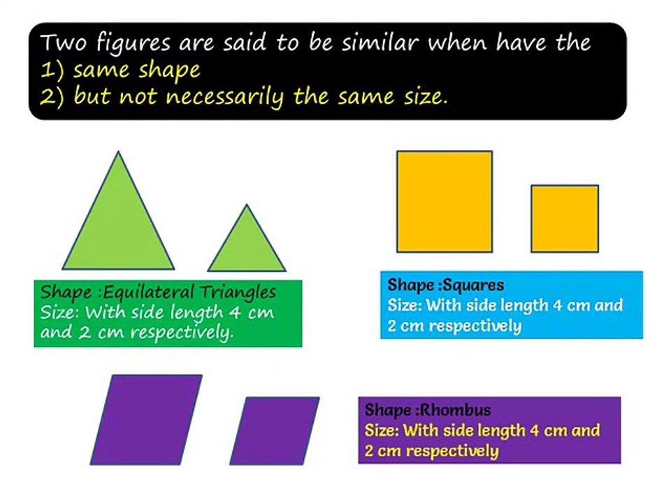 NCERT Solutions for Class 10th Maths Chapter 6 Triangles Exercise 6.1 Question 1