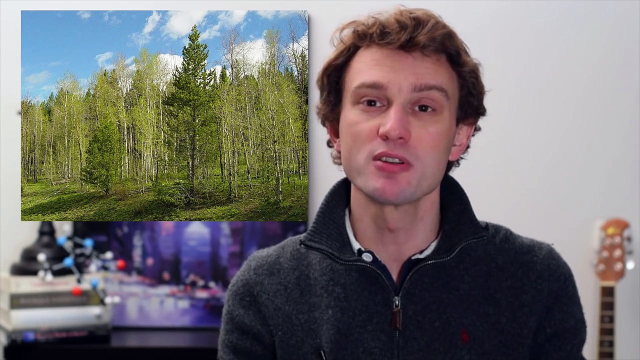 Le deep learning — Science étonnante