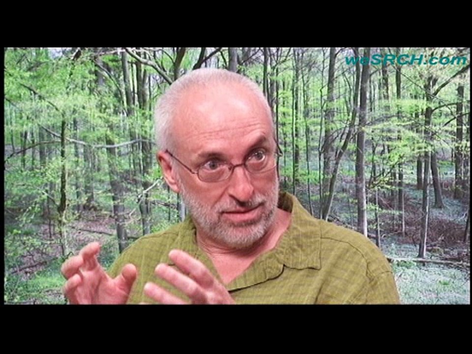 Conquering LER with computational metrology: A conversation with Chris Mack of Fractilia