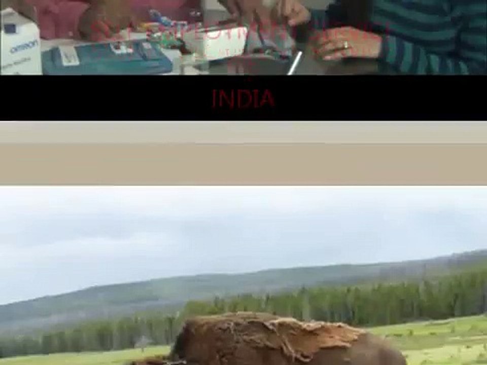 Doctor Chajju Ji & the Funny Girl 😂