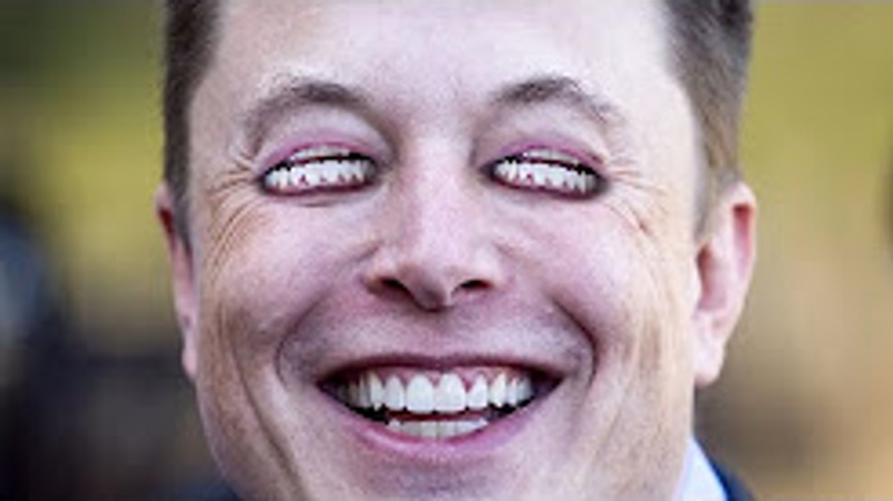 PEWDIEPIE-ELON MUSK