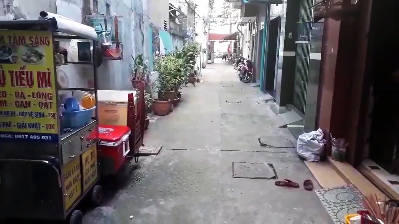 training pitbull learning