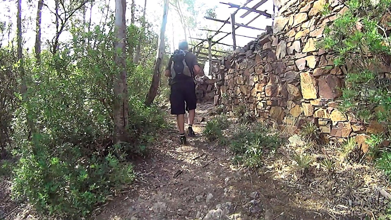 Ponti FMS 9 settembre 2017