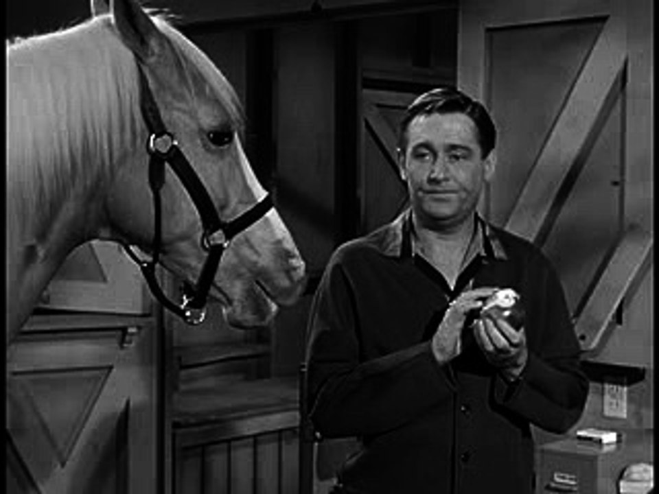 Mister Ed S05E23 - Robin Hood Ed: Hilarious Horse Hijinks! 🐴