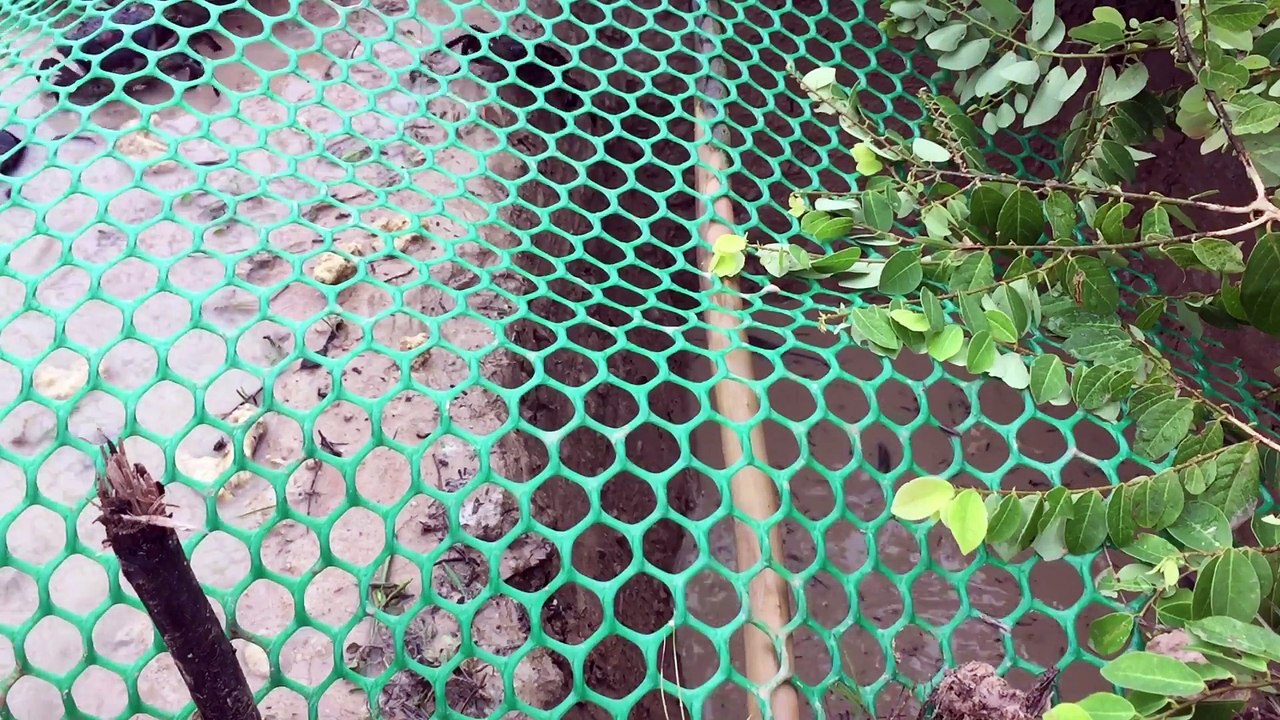 CAMBODIA HOLE TRAP - CRAB TRAP & FISH TRAP