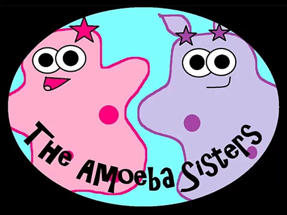 Prokaryotes and Eukaryotes