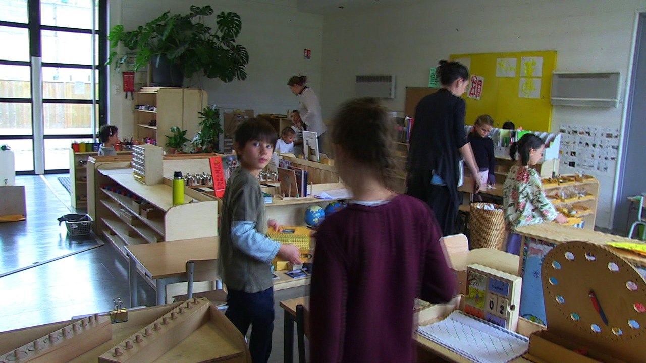 EDUCATION - EDUCATION