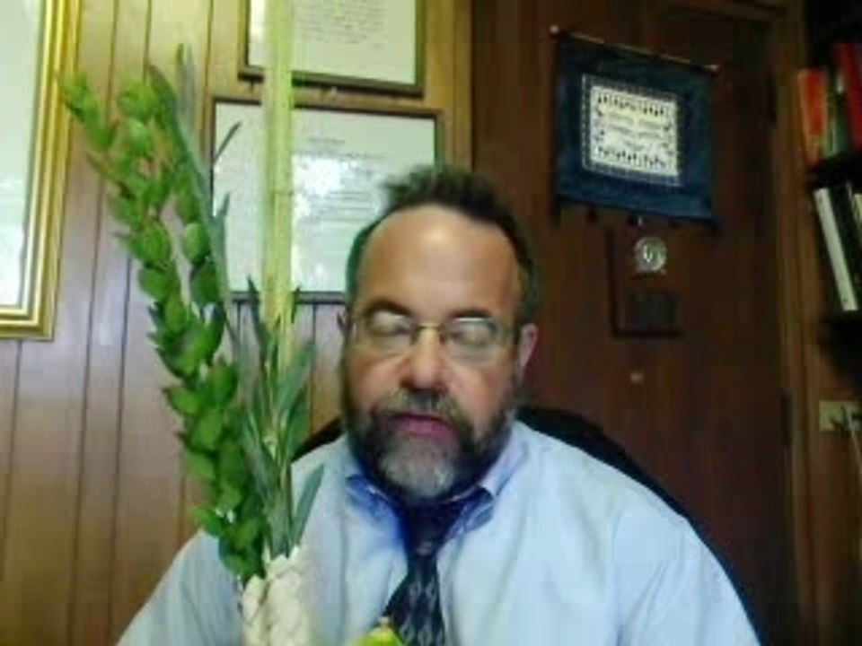 Lulav and etrog explained and shown for sukkot