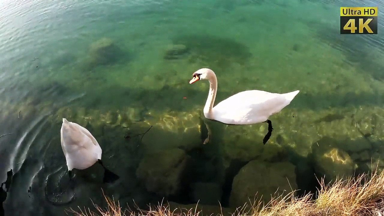 16K   15360x8640  video NX500+10mm   SAM 4663