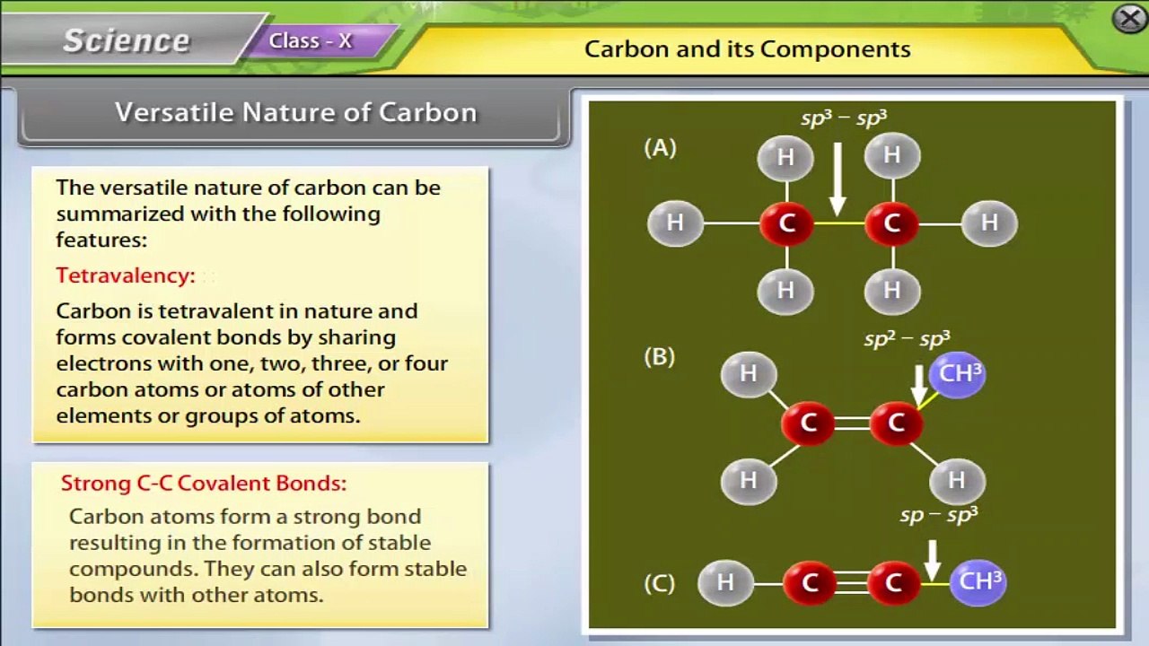CBSE Class 10 Mathematics Animated Video Lecture : Carbon and Its Components