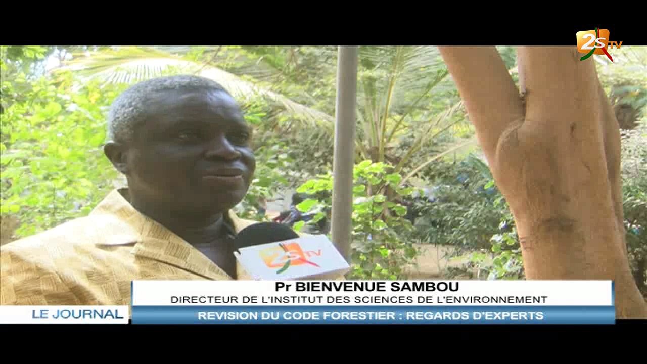 RÉVISION DU CODE FORESTIER : REGARDS D'EXPERTS
