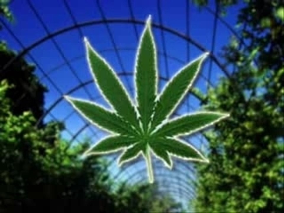 3-я мировая война