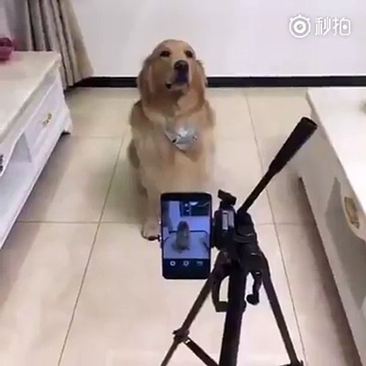 One, two, three, smile!