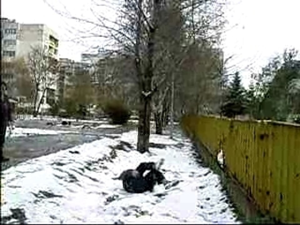 r0v3r standing side flip BAIL!!!