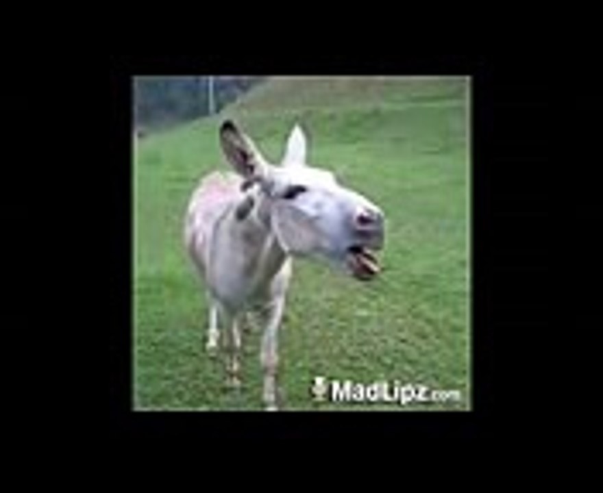 Kashmiri funny jokes   kashmiri khaer madlipz.