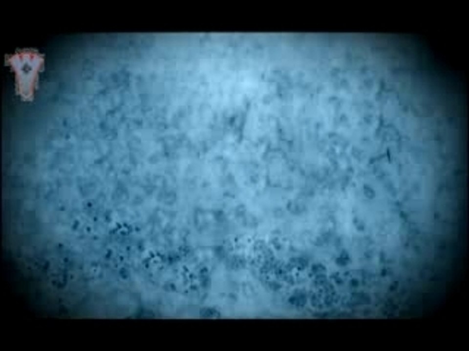 Rotterdam - School Project