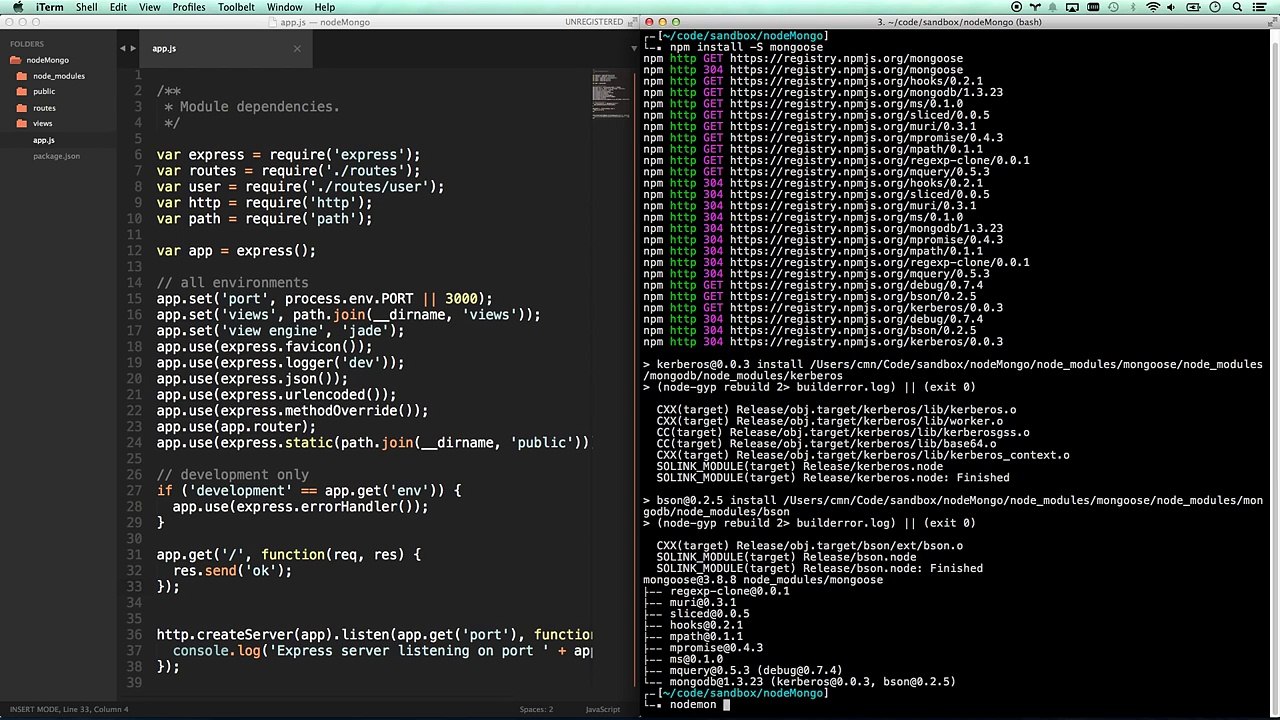 Node.js MongoDB Tutorial using Mongoose