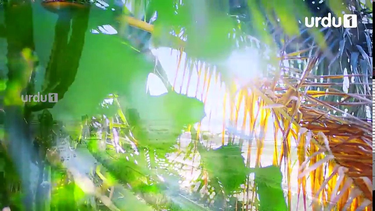 Gustakh Ishq - Episode 20 - Urdu1 ᴴᴰ Drama - Iqra Aziz, Noor Khan, Zahid Ahmed