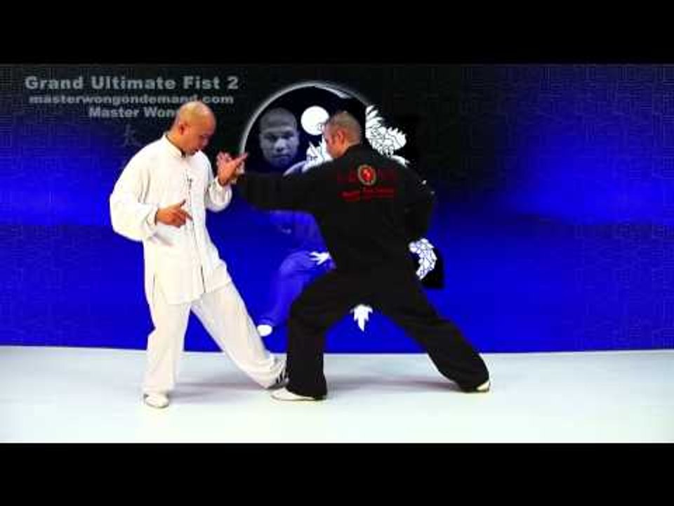 tai chi push hands tai chi chuan fight style use tai chi - lesson 3