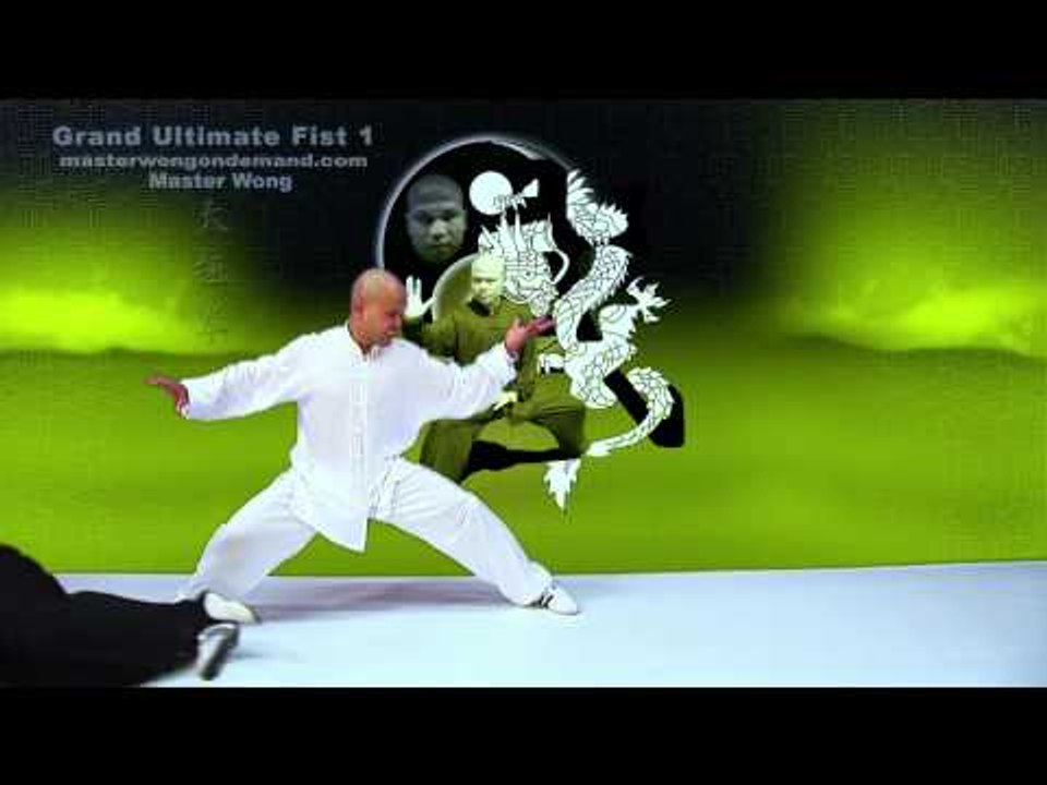 Tai Chi combat tai chi chuan fight style use tai chi - lesson 16