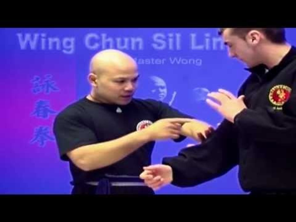 Wing Chun kung fu - wing chun  siu lim tao lesson 13