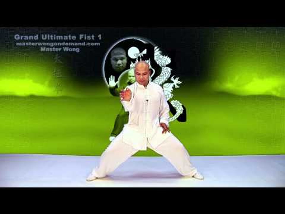 Tai Chi combat tai chi chuan fight style use tai chi - lesson 12