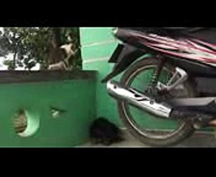   2018 ✿ ❀ ❁   2018 MAH000482