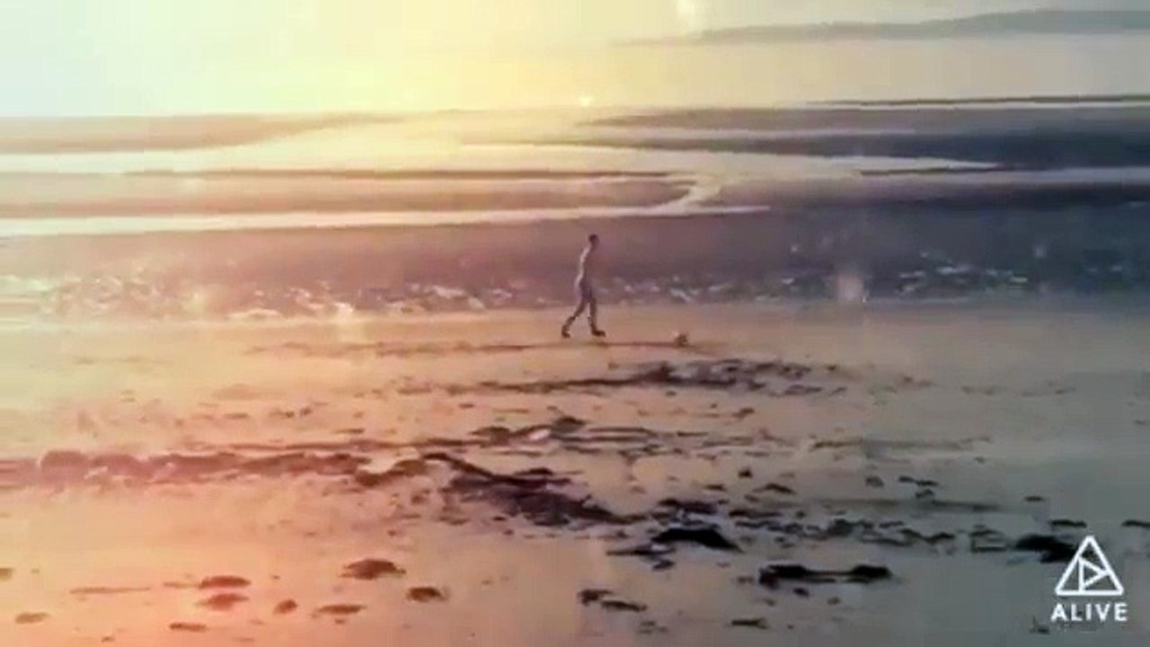 What is your purpose in life ?