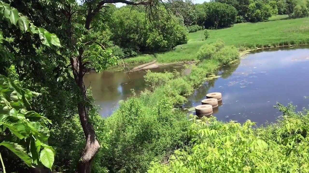Organik vlog: Banned from the GUN RANGE❌❌❌