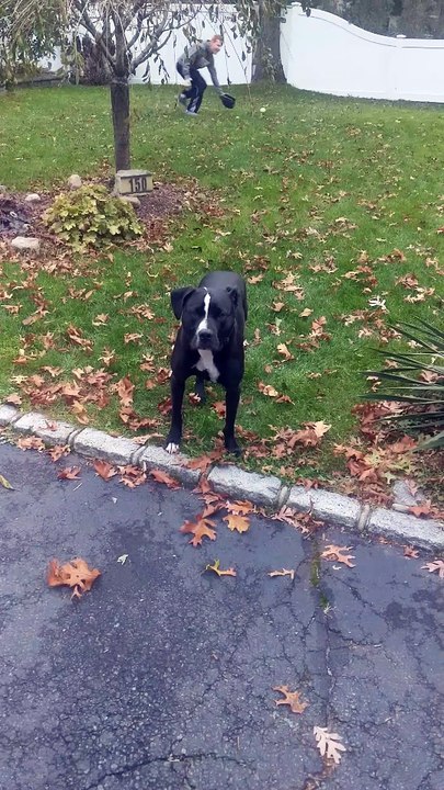 I got it... I got it