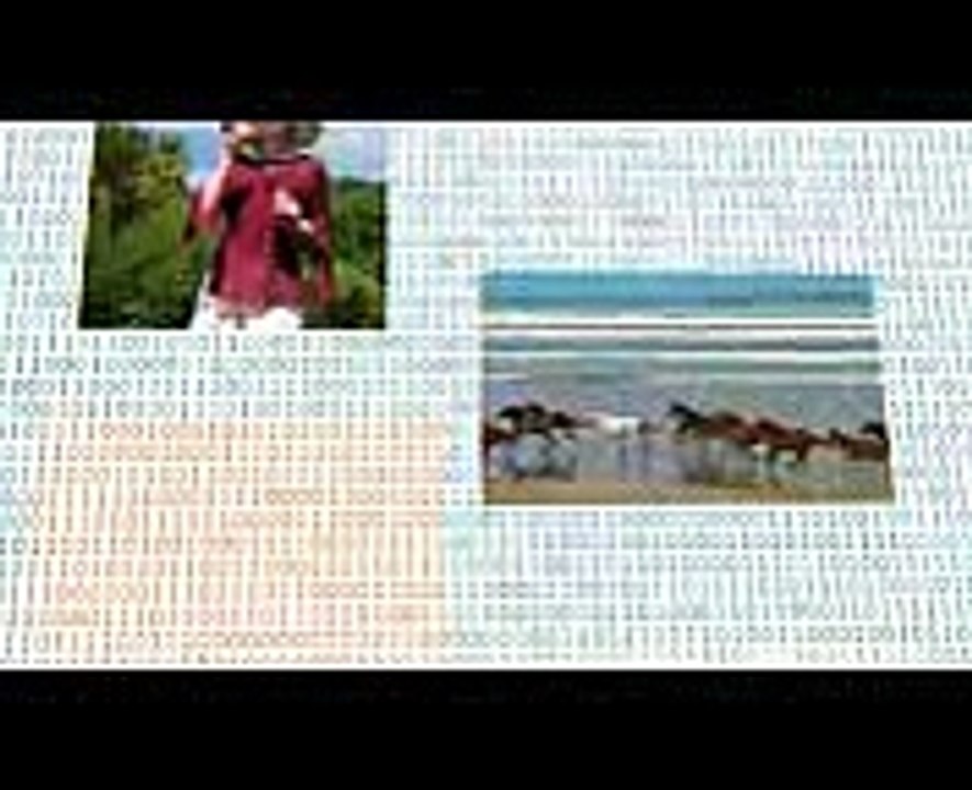 Computer Basics What is a Computer