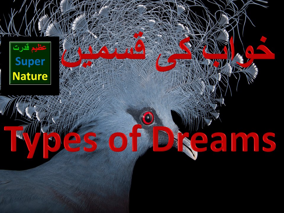 khwabon ki qismein types of dreams Azeem Qudrat