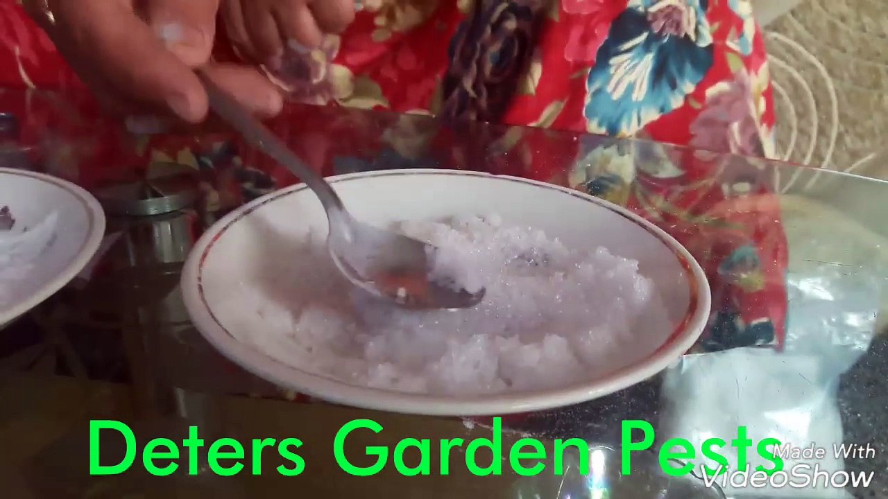 What is Epsom Salt _ Difference between Epsom Salt and Rock Salt(सेंधा नमक) _ Uses of Epsom Salt-5DlkJLbEPog