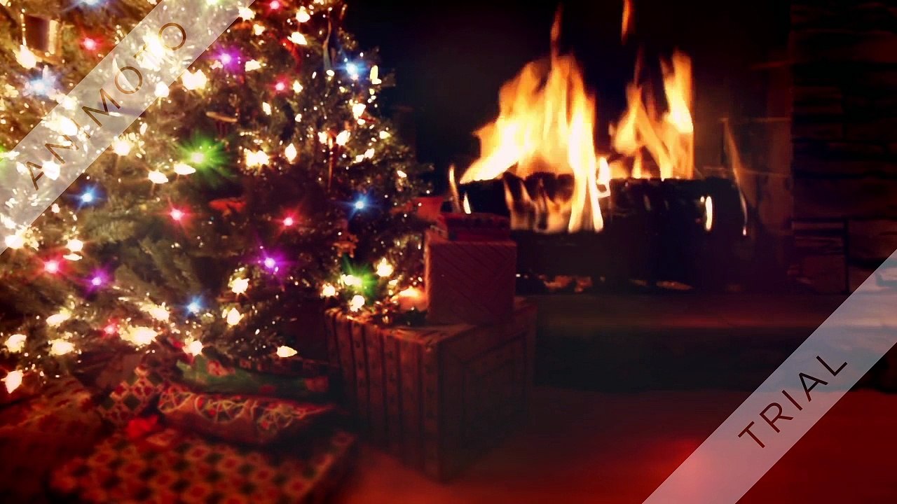 How to choose best WordPress Developer