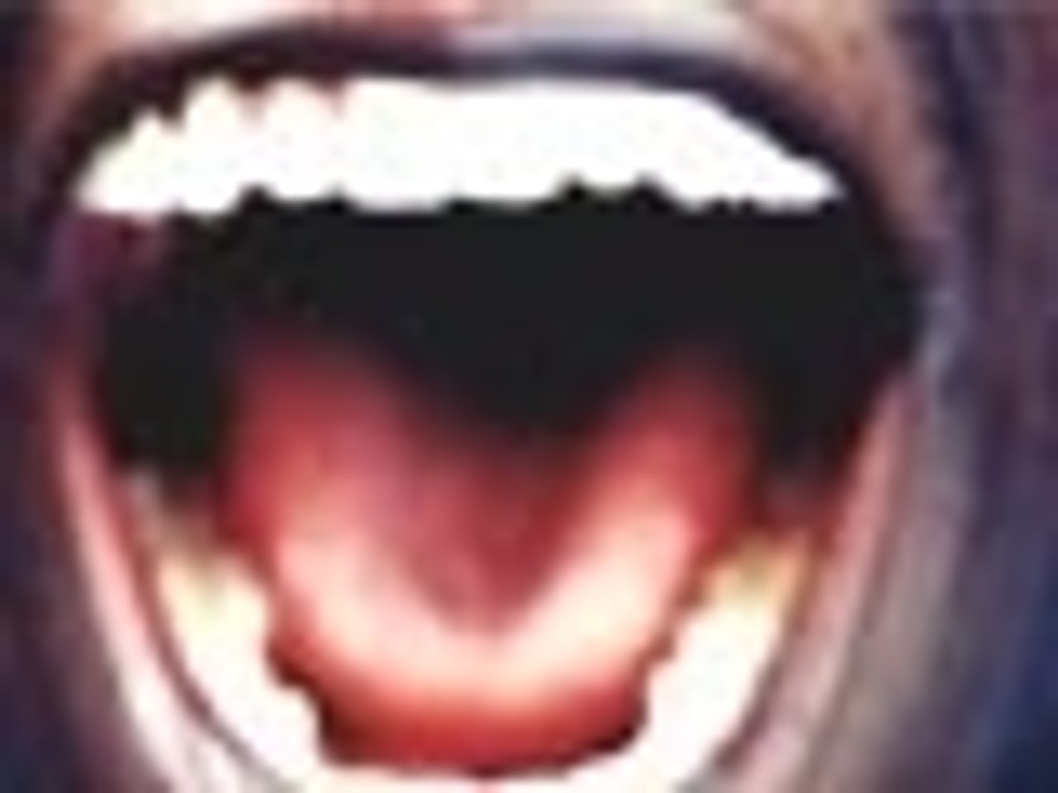 Reconhecimento de voz: como funciona?