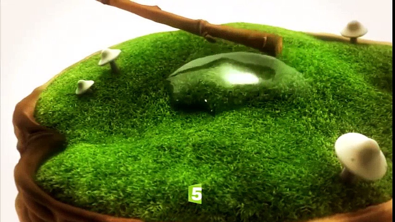 C'est le printemps sur Zouzous