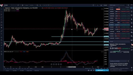 Crypto Cradle Startegy LIVE Example_ BYTE