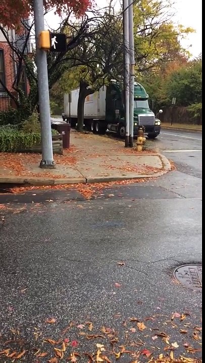 Truck Versus Tree