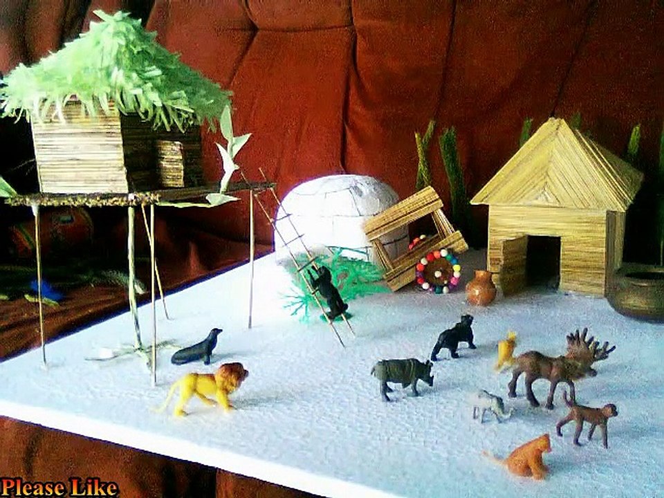 Science Project Models For Exhibition (School Science Fare)- Different Types Of Houses